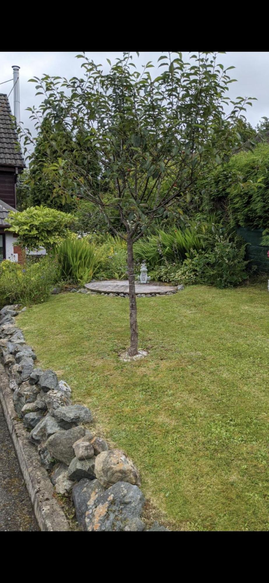 Contemporary Highland House Close To Town And Ben Nevis Fort William Exteriör bild